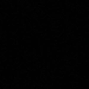 Meet your Posher, Alli